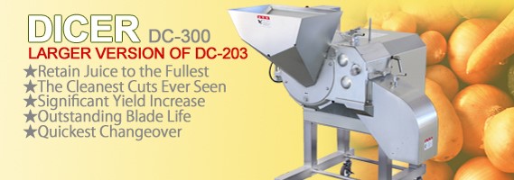 dc-300